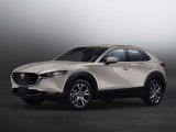 Mazda CX-30 2019, джип/suv 5 дв., 1 поколение (03.2019 - н.в.) 7